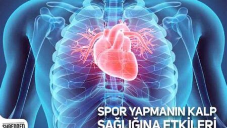 Spor Yapmanın Kalp Sağlığına Etkisi: Kardiyovasküler Hastalıkları Önleme